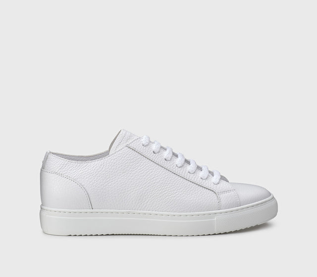 SNEAKERS PELLE