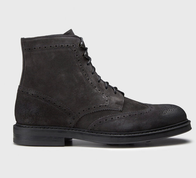 ANFIBIO SUEDE