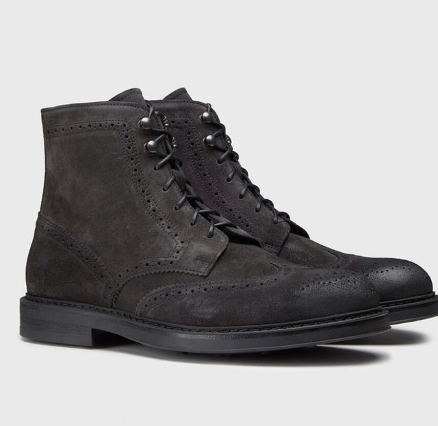 ANFIBIO SUEDE