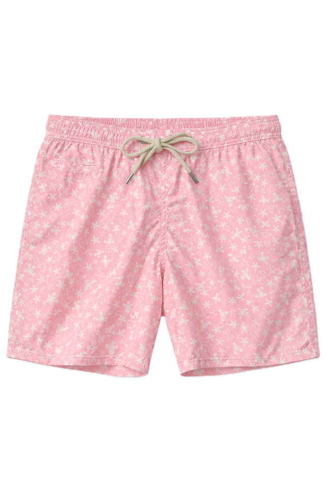 COSTUME STELLA ARAGOSTA