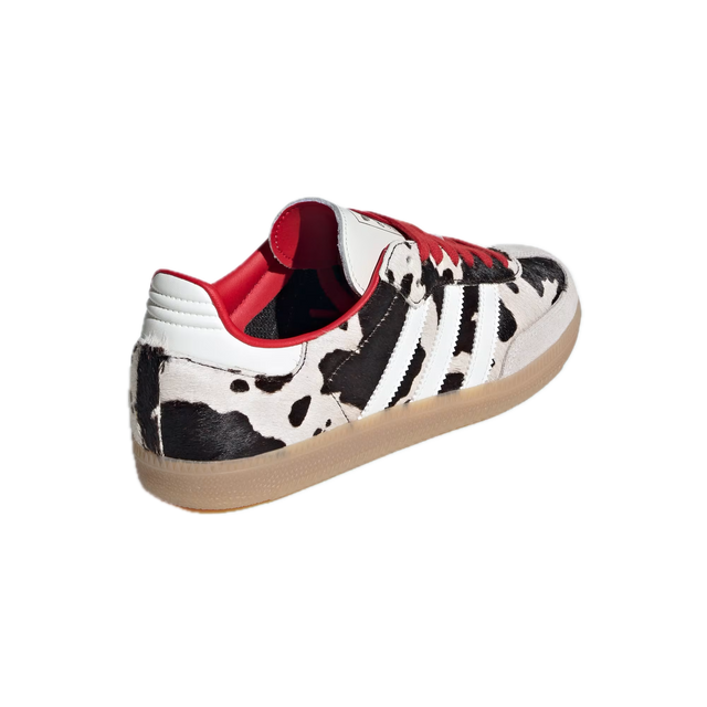 SAMBA OG W